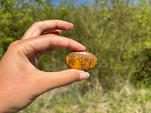 Charger l'image dans la galerie, Jaspe Mariam 24