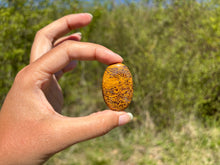 Charger l'image dans la galerie, Jaspe Mariam 24