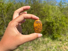 Charger l'image dans la galerie, Jaspe Mariam 24