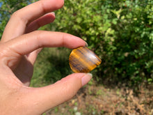 Charger l'image dans la galerie, Oeil de tigre 40