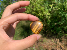 Charger l'image dans la galerie, Oeil de tigre 40