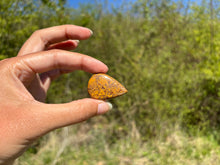 Charger l'image dans la galerie, Jaspe Mariam 25