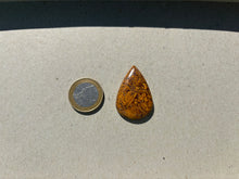 Charger l'image dans la galerie, Jaspe Mariam 25