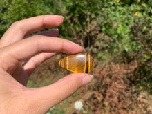 Charger l'image dans la galerie, Oeil de tigre 46