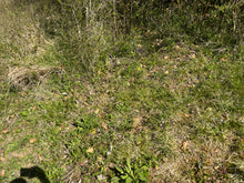 Charger l'image dans la galerie, Microcline / Pierre de lune 5