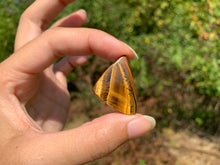 Charger l'image dans la galerie, VENDU Oeil de tigre 51