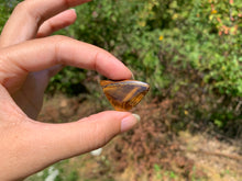 Charger l'image dans la galerie, VENDU Oeil de tigre 51