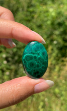 Charger l'image dans la galerie, VENDU Malachite 54