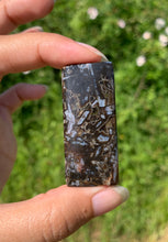 Charger l'image dans la galerie, Agate sagénitique 12