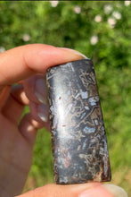 Charger l'image dans la galerie, Agate sagénitique 12