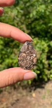 Charger l'image dans la galerie, Jaspe à turritelles 25