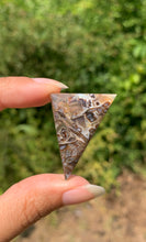 Charger l'image dans la galerie, Agate sagénitique 33