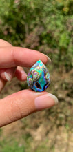 Charger l'image dans la galerie, VENDU Abalone 37