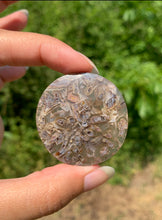 Charger l'image dans la galerie, Agate sagénitique 35