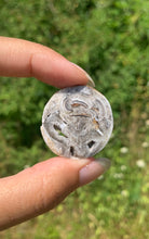 Charger l'image dans la galerie, Ammonite 13