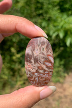 Charger l'image dans la galerie, Agate sagénitique 30