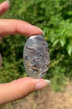 Charger l'image dans la galerie, Agate sagénitique 37