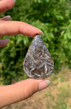 Charger l'image dans la galerie, Agate sagénitique 41