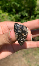 Charger l'image dans la galerie, Jaspe à turritelles 20