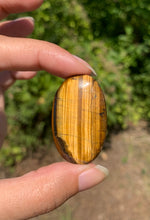 Charger l'image dans la galerie, Oeil de tigre 33