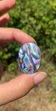 Charger l'image dans la galerie, VENDU Abalone 51