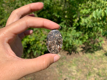 Charger l'image dans la galerie, Jaspe à turritelles 24