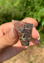 Charger l'image dans la galerie, Agate sagénitique 40