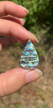 Charger l'image dans la galerie, VENDU Abalone 40