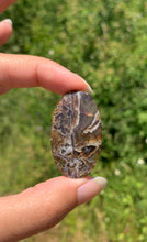 Charger l'image dans la galerie, Agate sagénitique 28