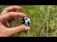 Charger et lire la vidéo dans la visionneuse de la Galerie, Jaspe Zebré 3