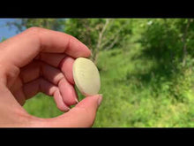 Charger et lire la vidéo dans la visionneuse de la Galerie, Jaspe vert 3