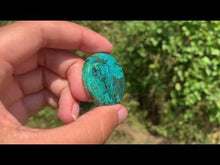 Charger et lire la vidéo dans la visionneuse de la Galerie, Chrysocolle 11