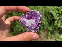 Charger et lire la vidéo dans la visionneuse de la Galerie, Kammererite 11