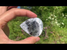 Charger et lire la vidéo dans la visionneuse de la Galerie, Agate dendritique 70