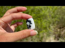 Charger et lire la vidéo dans la visionneuse de la Galerie, Jaspe Zebré 9