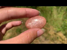 Charger et lire la vidéo dans la visionneuse de la Galerie, MIcrocline 60