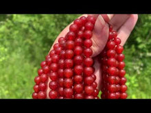 Charger et lire la vidéo dans la visionneuse de la Galerie, Perles en cornaline / agate rouge entre 4 et 14mm CAT