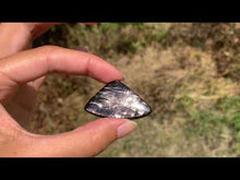 Charger et lire la vidéo dans la visionneuse de la Galerie, Hypersthène 20