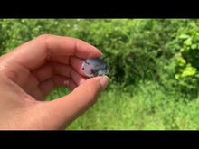 Charger et lire la vidéo dans la visionneuse de la Galerie, VENDU Agate dendritique 57