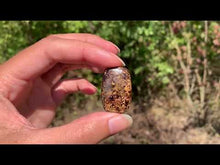 Charger et lire la vidéo dans la visionneuse de la Galerie, Bronzite 19