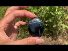 Charger et lire la vidéo dans la visionneuse de la Galerie, Oeil de faucon 15