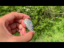 Charger et lire la vidéo dans la visionneuse de la Galerie, Jaspe K2 25