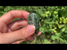 Charger et lire la vidéo dans la visionneuse de la Galerie, Séraphinite 36