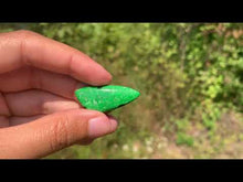 Charger et lire la vidéo dans la visionneuse de la Galerie, Maw-Sit-Sit 14