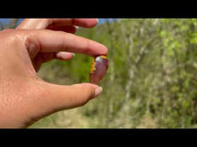 Charger et lire la vidéo dans la visionneuse de la Galerie, Agate Seam 8