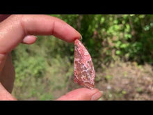 Charger et lire la vidéo dans la visionneuse de la Galerie, VENDU Agate Crazy Lace 15