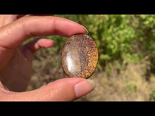 Charger et lire la vidéo dans la visionneuse de la Galerie, Bronzite 31