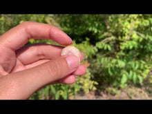 Charger et lire la vidéo dans la visionneuse de la Galerie, Quartz solaire brut 3