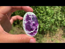 Charger et lire la vidéo dans la visionneuse de la Galerie, Kammererite 27