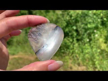 Charger et lire la vidéo dans la visionneuse de la Galerie, Agate sagénitique 25